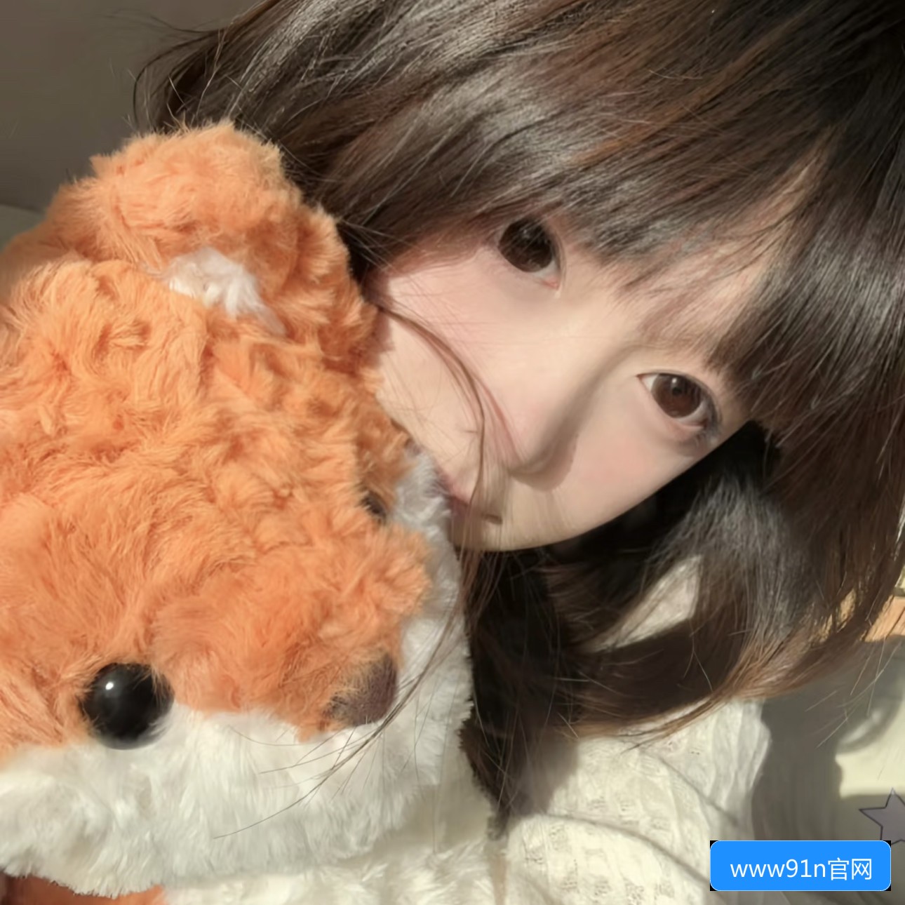 永久免费网址：www91n.con的使用方法和安全性分析